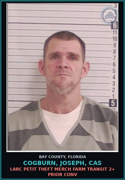 CCW arrest card for COGBURN, JOSEPH, CAS in Bay County: LARC PETIT THEFT MERCH FARM TRANSIT 2+ PRIOR CONV