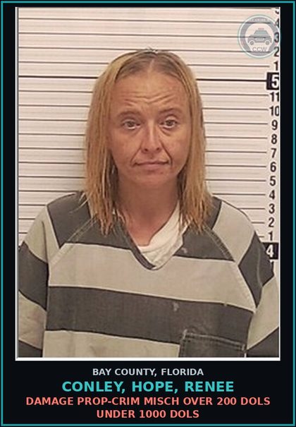 CCW arrest card for CONLEY, HOPE, RENEE in Bay County: DAMAGE PROP-CRIM MISCH OVER 200 DOLS UNDER 1000 DOLS
