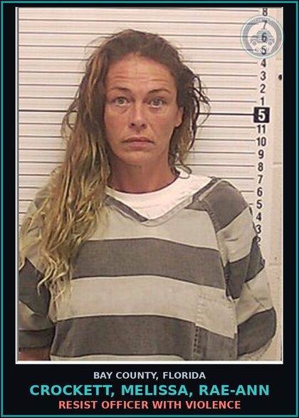 CCW arrest card for CROCKETT, MELISSA, RAE-ANN in Bay County: RESIST OFFICER WITH VIOLENCE