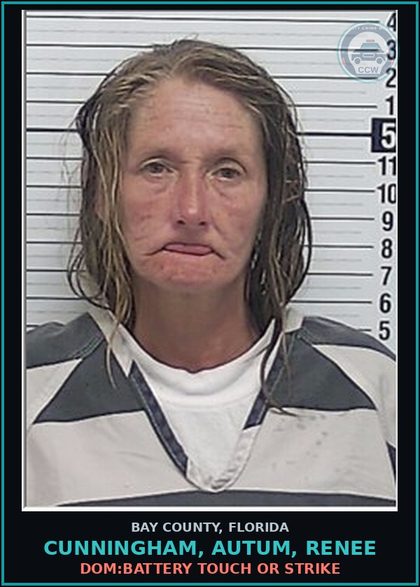 CCW arrest card for CUNNINGHAM, AUTUM, RENEE in Bay County: DOM:BATTERY TOUCH OR STRIKE