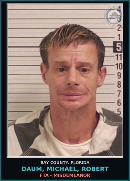 CCW arrest card for DAUM, MICHAEL, ROBERT in Bay County: FTA - MISDEMEANOR