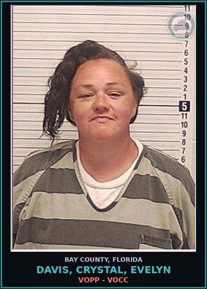 CCW arrest card for DAVIS, CRYSTAL, EVELYN in Bay County: VOPP - VOCC