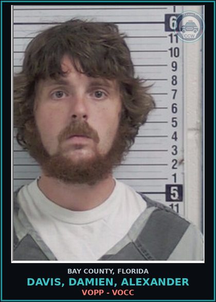 CCW arrest card for DAVIS, DAMIEN, ALEXANDER in Bay County: VOPP - VOCC