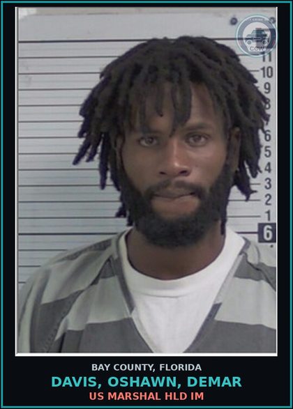 CCW arrest card for DAVIS, OSHAWN, DEMAR in Bay County: US MARSHAL HLD IM