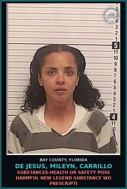 CCW arrest card for DE JESUS, MILEYN, CARRILLO in Bay County: DRUG EQUIP-POSSESS AND OR USE