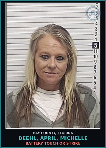 CCW arrest card for DEEHL, APRIL, MICHELLE in Bay County: BATTERY TOUCH OR STRIKE