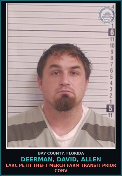 CCW arrest card for DEERMAN, DAVID, ALLEN in Bay County: LARC PETIT THEFT MERCH FARM TRANSIT PRIOR CONV
