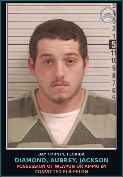 CCW arrest card for DIAMOND, AUBREY, JACKSON in Bay County: OUT OF COUNTY WARRANT