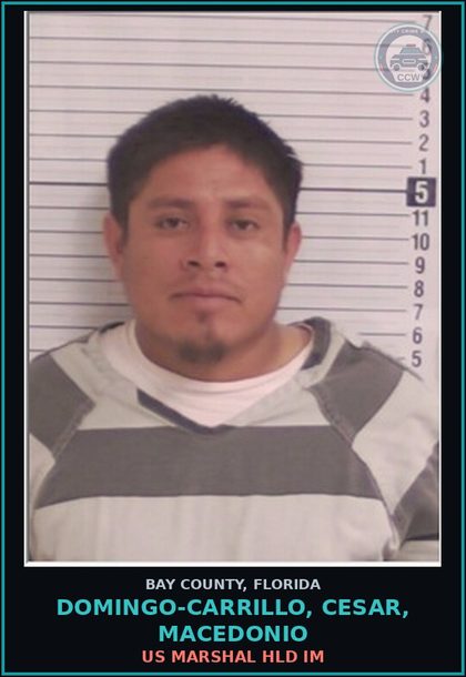 CCW arrest card for DOMINGO-CARRILLO, CESAR, MACEDONIO in Bay County: US MARSHAL HLD IM