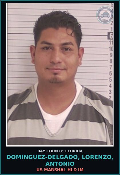 CCW arrest card for DOMINGUEZ-DELGADO, LORENZO, ANTONIO in Bay County: US MARSHAL HLD IM