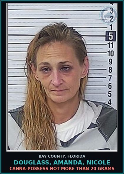 CCW arrest card for DOUGLASS, AMANDA, NICOLE in Bay County: Canna-POSSESS NOT MORE THAN 20 GRAMS