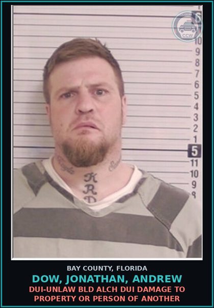 CCW arrest card for DOW, JONATHAN, ANDREW in Bay County: DUI-UNLAW BLD ALCH DUI DAMAGE TO PROPERTY OR PERSON OF ANOTHER