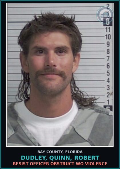 CCW arrest card for DUDLEY, QUINN, ROBERT in Bay County: RESIST OFFICER OBSTRUCT WO VIOLENCE