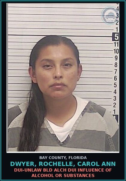 CCW arrest card for DWYER, ROCHELLE, CAROL ANN in Bay County: DUI-UNLAW BLD ALCH DUI INFLUENCE OF ALCOHOL OR DRUGS