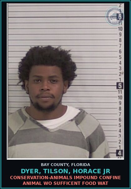 CCW arrest card for DYER, TILSON, HORACE JR in Bay County: CONSERVATION-ANIMALS IMPOUND CONFINE ANIMAL WO SUFFICENT FOOD WAT