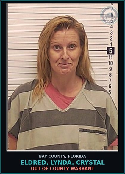 CCW arrest card for ELDRED, LYNDA, CRYSTAL in Bay County: OUT OF COUNTY WARRANT