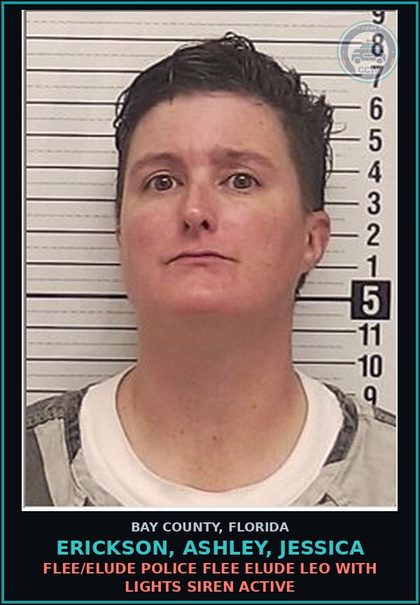 CCW arrest card for ERICKSON, ASHLEY, JESSICA in Bay County: FLEE/ELUDE POLICE FLEE ELUDE LEO WITH LIGHTS SIREN ACTIVE
