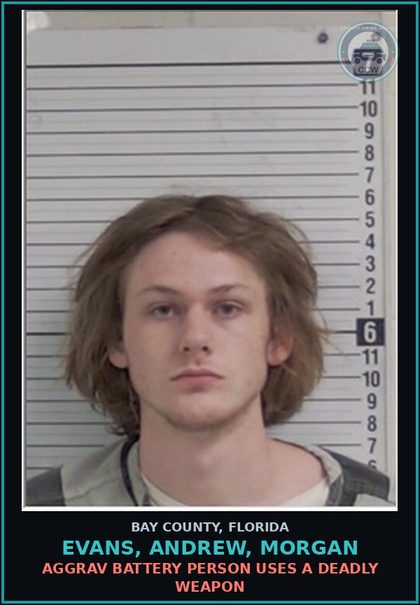 CCW arrest card for EVANS, ANDREW, MORGAN in Bay County: AGGRAV BATTERY PERSON USES A DEADLY WEAPON