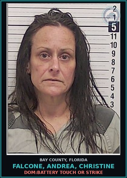 CCW arrest card for FALCONE, ANDREA, CHRISTINE in Bay County: DOM:BATTERY TOUCH OR STRIKE