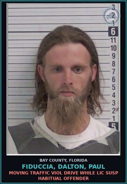 CCW arrest card for FIDUCCIA, DALTON, PAUL in Bay County: MOVING TRAFFIC VIOL DRIVE WHILE LIC SUSP HABITUAL OFFENDER