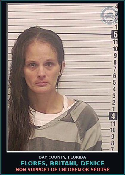 CCW arrest card for FLORES, BRITANI, DENICE in Bay County: NON SUPPORT OF CHILDREN OR SPOUSE