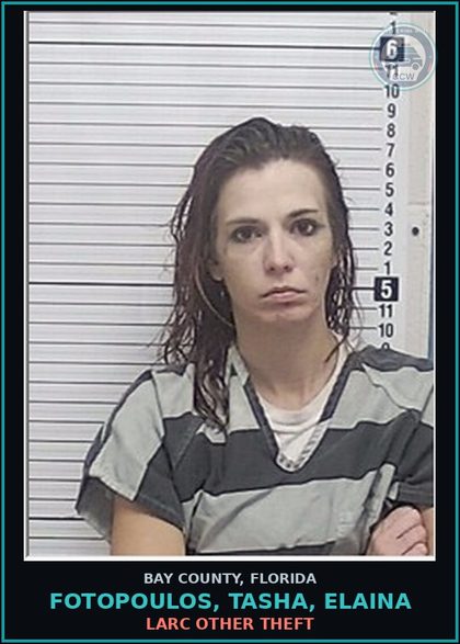 CCW arrest card for FOTOPOULOS, TASHA, ELAINA in Bay County: LARC OTHER THEFT