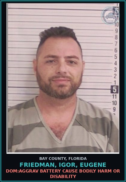 CCW arrest card for FRIEDMAN, IGOR, EUGENE in Bay County: DOM:AGGRAV BATTERY CAUSE BODILY HARM OR DISABILITY
