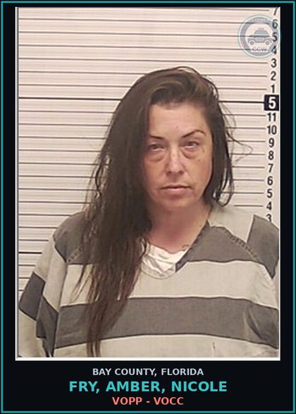 CCW arrest card for FRY, AMBER, NICOLE in Bay County: VOPP - VOCC