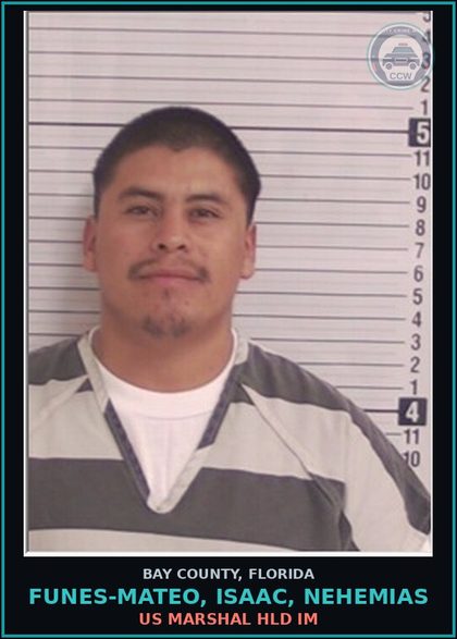 CCW arrest card for FUNES-MATEO, ISAAC, NEHEMIAS in Bay County: US MARSHAL HLD IM