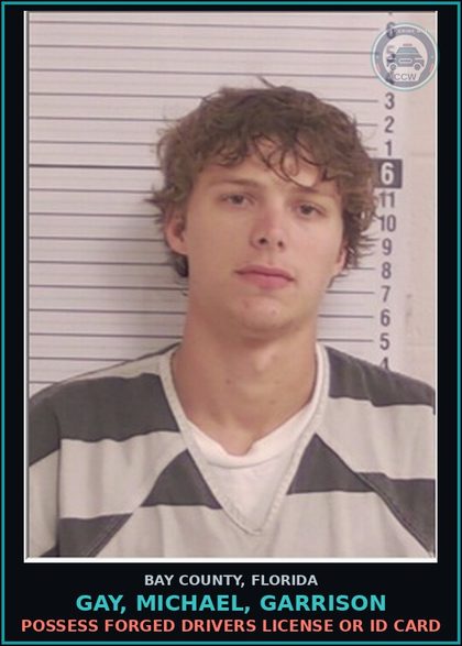 CCW arrest card for GAY, MICHAEL, GARRISON in Bay County: POSSESS FORGED DRIVERS LICENSE OR ID CARD