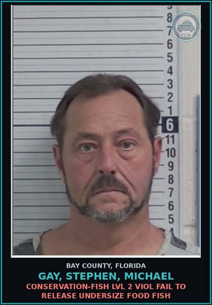 CCW arrest card for GAY, STEPHEN, MICHAEL in Bay County: CONSERVATION-FISH LVL 2 VIOL FAIL TO RELEASE UNDERSIZE FOOD FISH