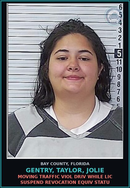 CCW arrest card for GENTRY, TAYLOR, JOLIE in Bay County: MOVING TRAFFIC VIOL DRIV WHILE LIC SUSPEND REVOCATION EQUIV STATU