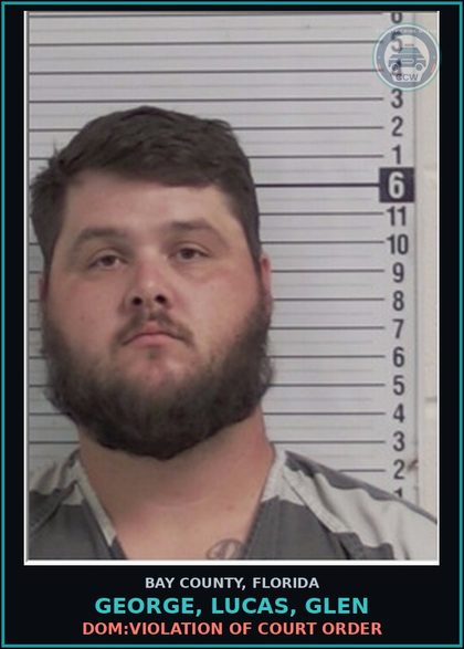 CCW arrest card for GEORGE, LUCAS, GLEN in Bay County: DOM:VIOLATION OF COURT ORDER