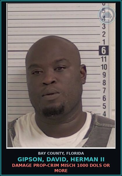 CCW arrest card for GIPSON, DAVID, HERMAN II in Bay County: DAMAGE PROP-CRIM MISCH 1000 DOLS OR MORE