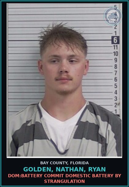 CCW arrest card for GOLDEN, NATHAN, RYAN in Bay County: DOM:BATTERY COMMIT DOMESTIC BATTERY BY STRANGULATION