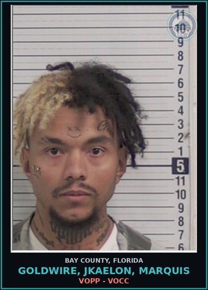 CCW arrest card for GOLDWIRE, JKAELON, MARQUIS in Bay County: VOPP - VOCC