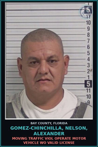CCW arrest card for GOMEZ-CHINCHILLA, NELSON, ALEXANDER in Bay County: MOVING TRAFFIC VIOL OPERATE MOTOR VEHICLE WO VALID LICENSE