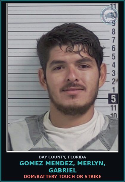 CCW arrest card for GOMEZ MENDEZ, MERLYN, GABRIEL in Bay County: DOM:BATTERY TOUCH OR STRIKE