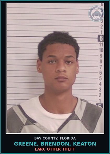 CCW arrest card for GREENE, BRENDON, KEATON in Bay County: LARC OTHER THEFT
