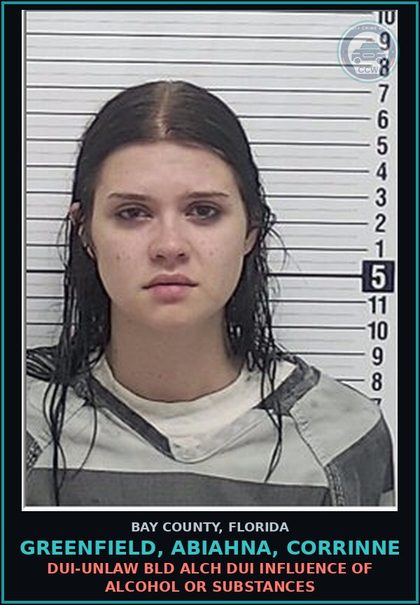 CCW arrest card for GREENFIELD, ABIAHNA, CORRINNE in Bay County: MOVING TRAFFIC VIOL DRIV WHILE LIC SUSPEND REVOCATION EQUIV STATU