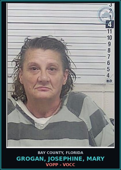 CCW arrest card for GROGAN, JOSEPHINE, MARY in Bay County: VOPP - VOCC