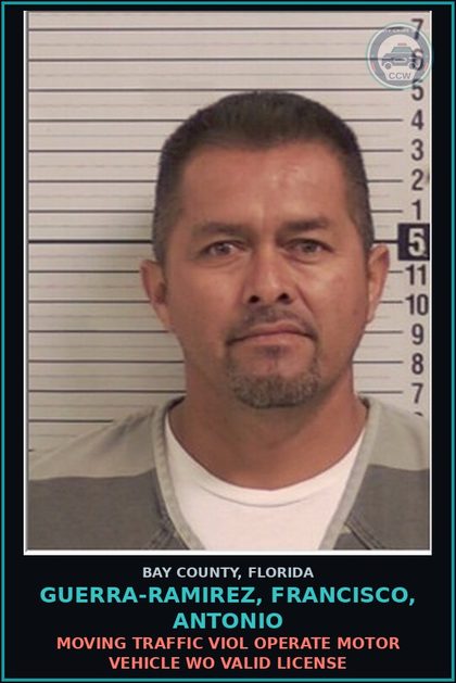 CCW arrest card for GUERRA-RAMIREZ, FRANCISCO, ANTONIO in Bay County: MOVING TRAFFIC VIOL OPERATE MOTOR VEHICLE WO VALID LICENSE