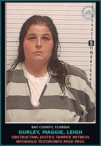 CCW arrest card for GURLEY, MAGGIE, LEIGH in Bay County: OBSTRUCTING JUSTICE TAMPER WITNESS WITHHOLD TESTIM/INFO MISD PROC
