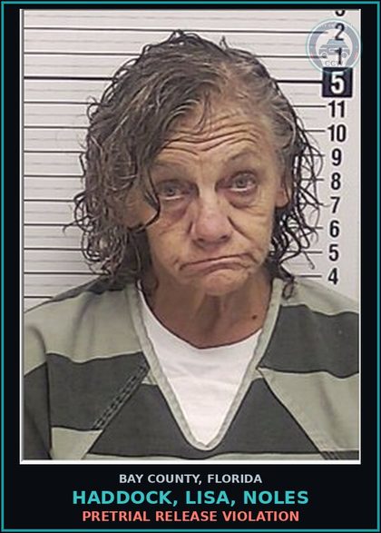 CCW arrest card for HADDOCK, LISA, NOLES in Bay County: PRETRIAL RELEASE VIOLATION