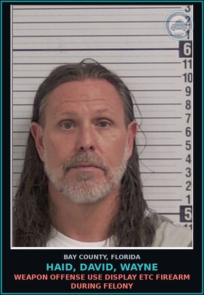 CCW arrest card for HAID, DAVID, WAYNE in Bay County: RESIST OFFICER OBSTRUCT WO VIOLENCE