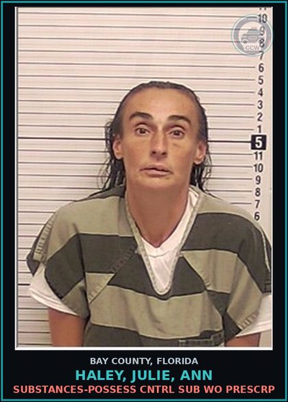 CCW arrest card for HALEY, JULIE, ANN in Bay County: DRUGS-POSSESS CNTRL SUB WO PRESCRIPTION