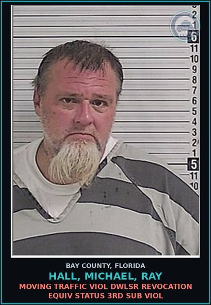 CCW arrest card for HALL, MICHAEL, RAY in Bay County: MOVING TRAFFIC VIOL DWLSR REVOCATION EQUIV STATUS 3RD SUB VIOL