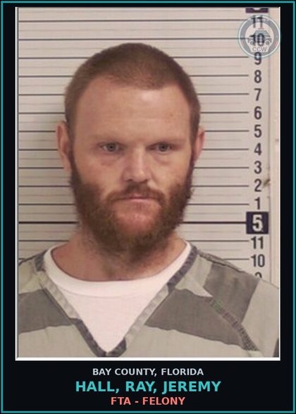 CCW arrest card for HALL, RAY, JEREMY in Bay County: FTA - FELONY