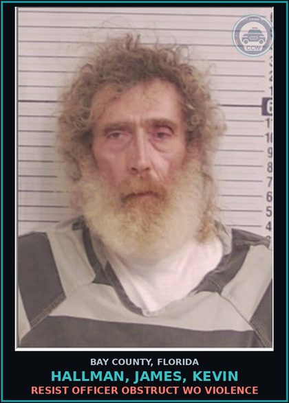 CCW arrest card for HALLMAN, JAMES, KEVIN in Bay County: RESIST OFFICER OBSTRUCT WO VIOLENCE