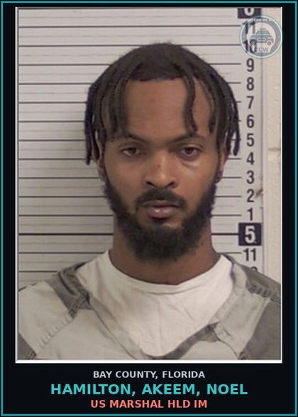 CCW arrest card for HAMILTON, AKEEM, NOEL in Bay County: US MARSHAL HLD IM